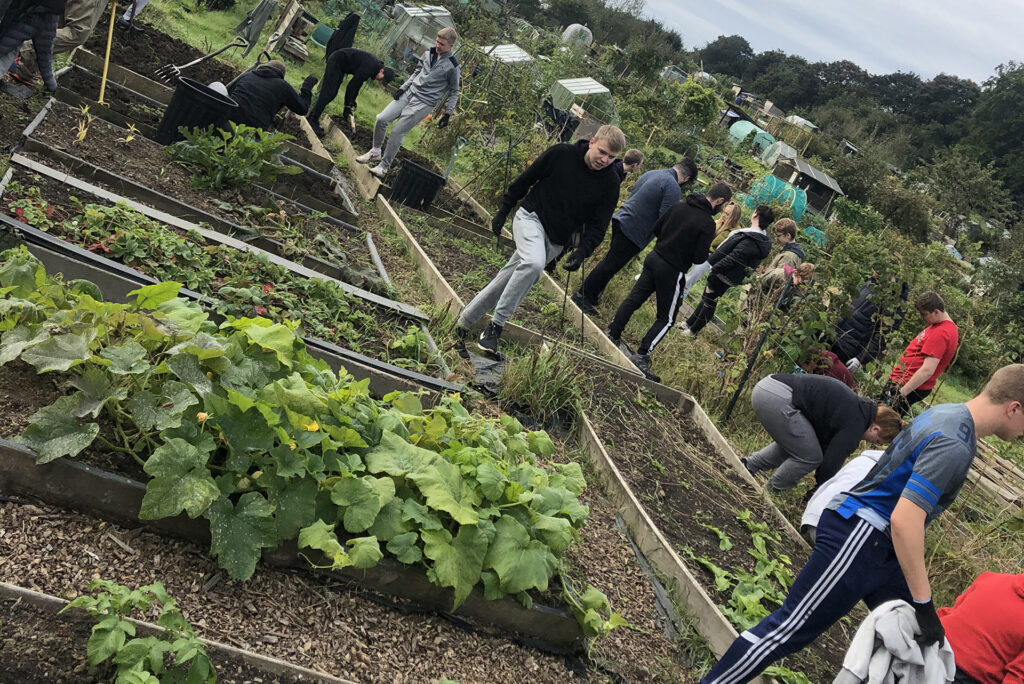 Students take part in a community garden allotment to grow plants