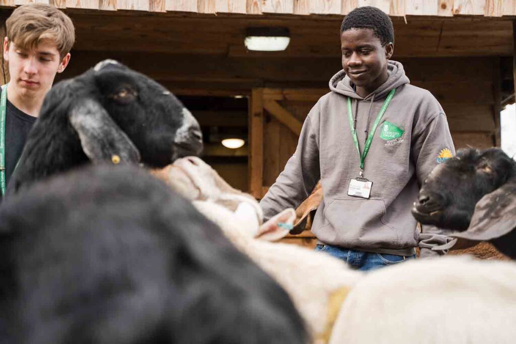 Animal care and horticulture students visiting home farm