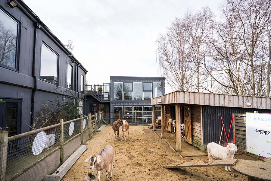 Sheep and goats outside classroom building in an animal enclosure