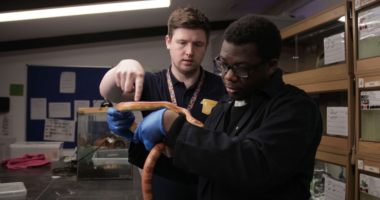 Animal Care and Welfare Assistant Standard