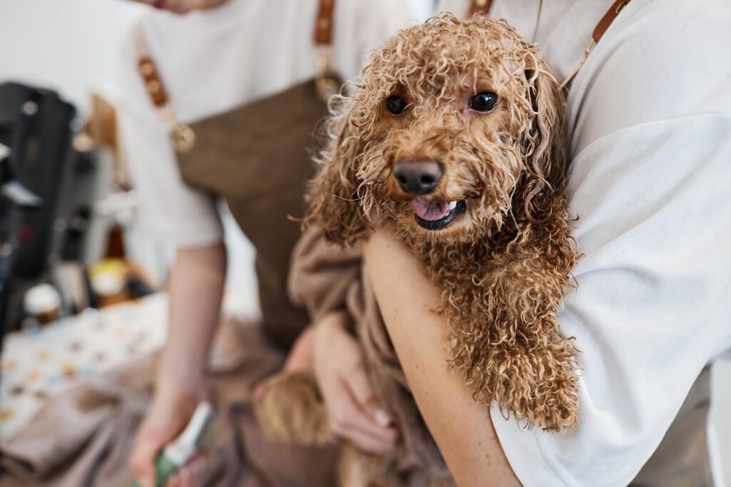 Portrait of happy wet puppy sitting in young womans arms during beauty care in beauty salon copy space